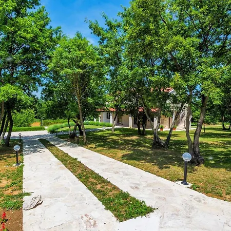 Paradiso * Задар