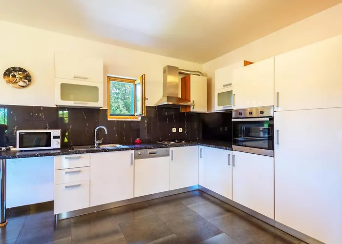 Paradiso Ζαντάρ