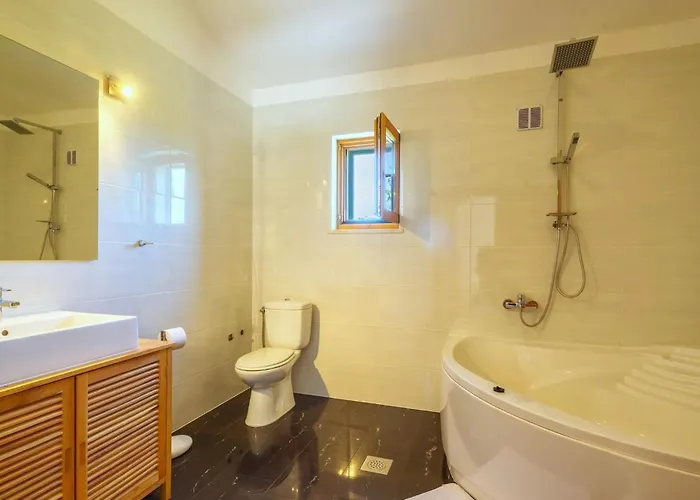 Paradiso * Ζαντάρ