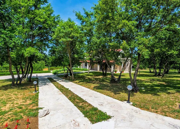 Paradiso * Ζαντάρ